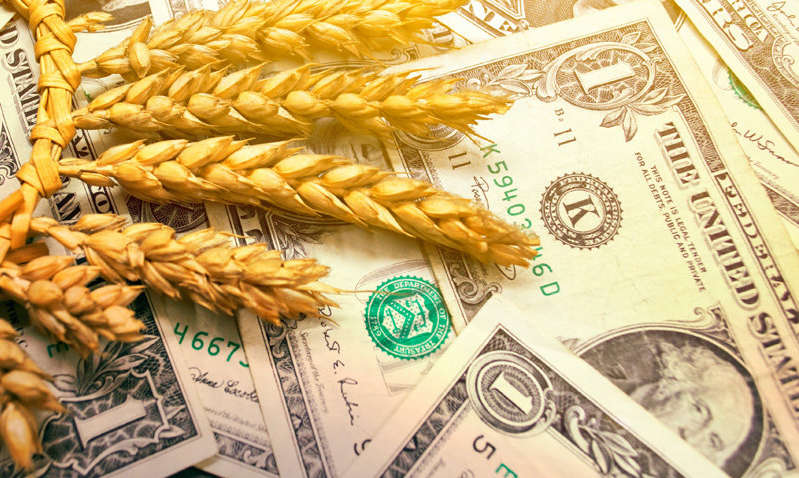 Обнародован ТОП-10 бизнесменов, которым достались самые крупные суммы бюджетных средств