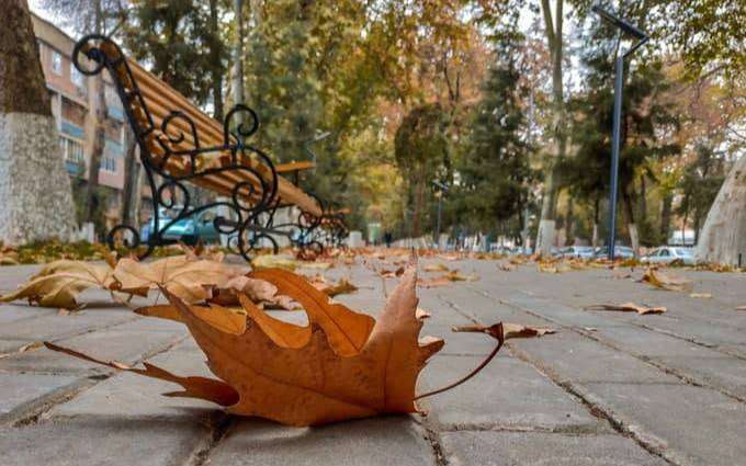 Вместо бабьего лета идут сентябрьские заморозки: подробности от синоптиков