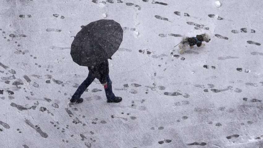 Яке церковне свято 24 січня: що обов'язково потрібно зробити цього дня