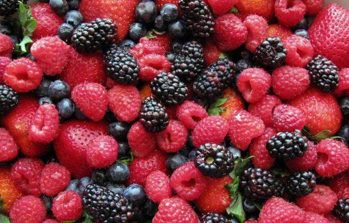 Названы ягоды, в которых накапливается много радионуклидов