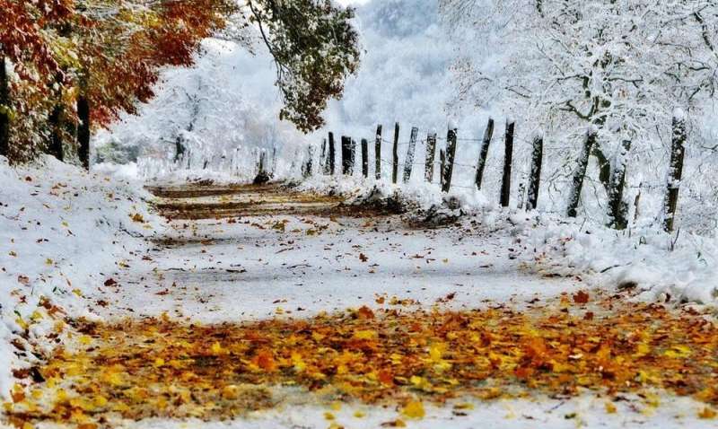 Метеорологи скорректировали прогноз: в Украине заснежит уже в октябре