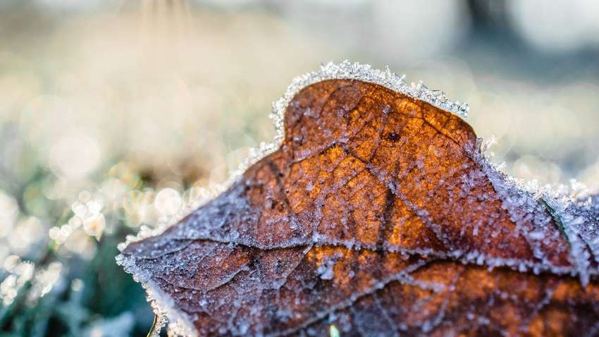 В Україну йде похолодання: якою буде погода 15 листопада