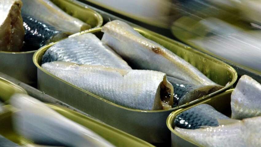 Эта суперрыба обгоняет скумбрию и сельдь за пользой: эксперты удивили заявлением Эта суперрыба обгоняет скумбрию и сельдь за пользой: эксперты удивили заявлением