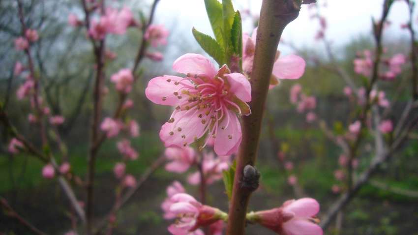 Когда потеплеет: прогноз погоды в Украине Когда потеплеет: прогноз погоды в Украине