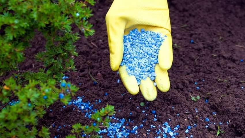 Аграрії вийдуть на акції проти квотування імпорту мінеральних добрив