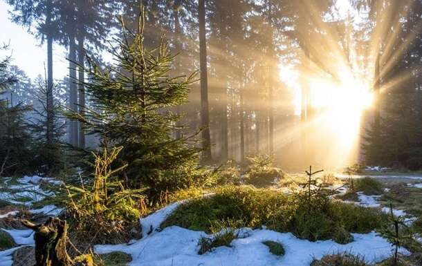 К какому году в Украине исчезнут зимы: климатолог ошарашила прогнозом К какому году в Украине исчезнут зимы: климатолог ошарашила прогнозом