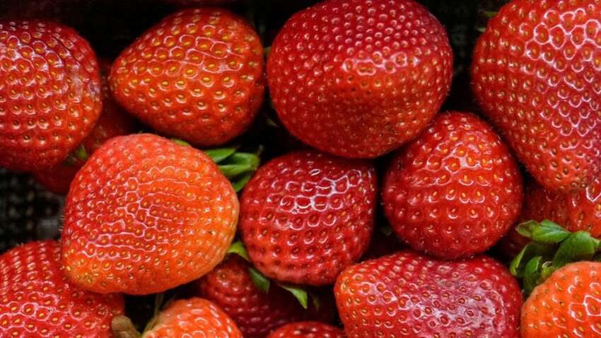 Рання полуниця без проблем: ці три секрети гарантовано принесуть рекордний урожай