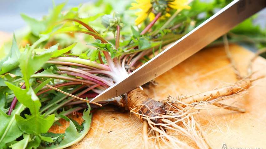 Яка рослина допоможе підтримати здоров'я серця Яка рослина допоможе підтримати здоров'я серця