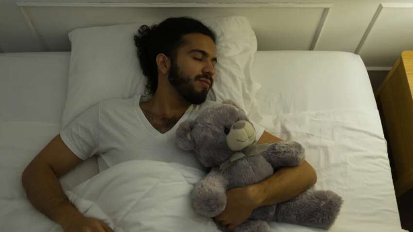 Взрослые по всему миру начали скупать мягкие игрушки: неожиданная причина Взрослые по всему миру начали скупать мягкие игрушки: неожиданная причина