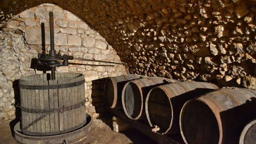 Технология почти не изменилась: ученые нашли древнейший пресс для изготовления вина Технология почти не изменилась: ученые нашли древнейший пресс для изготовления вина