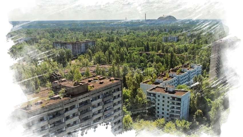 Из Чернобыля на рынки Украины везли 300 килограммов опасных ягод