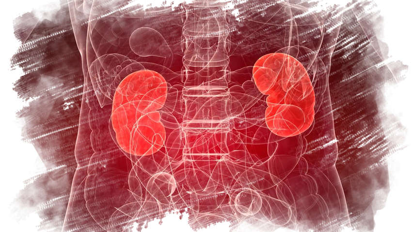 Як уникнути хронічних захворювань нирок