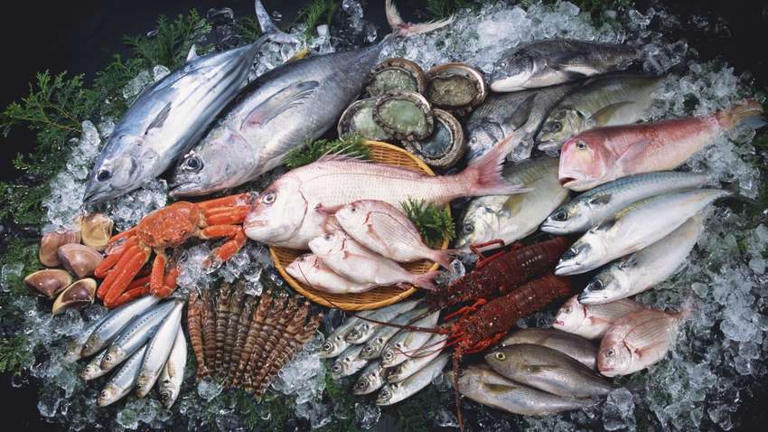 Названы страны, которые массово закупают украинскую рыбу