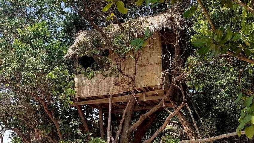 Двоє хлопчиків на карантині знайшли золоті злитки на сотні тисяч євро