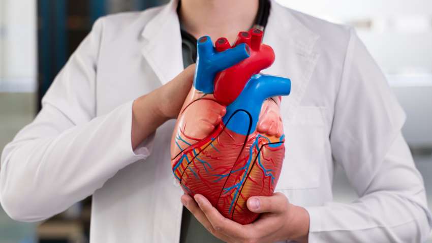 Этот тест обнаруживает сердечные заболевания на ранней стадии