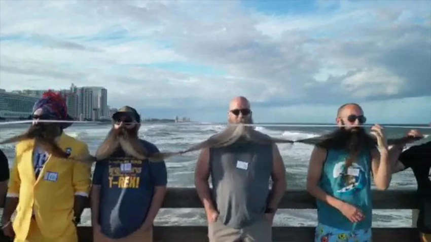 У Дайтона-Бич собрали "живую цепь" из бород длиной как два кита У Дайтона-Бич собрали "живую цепь" из бород длиной как два кита