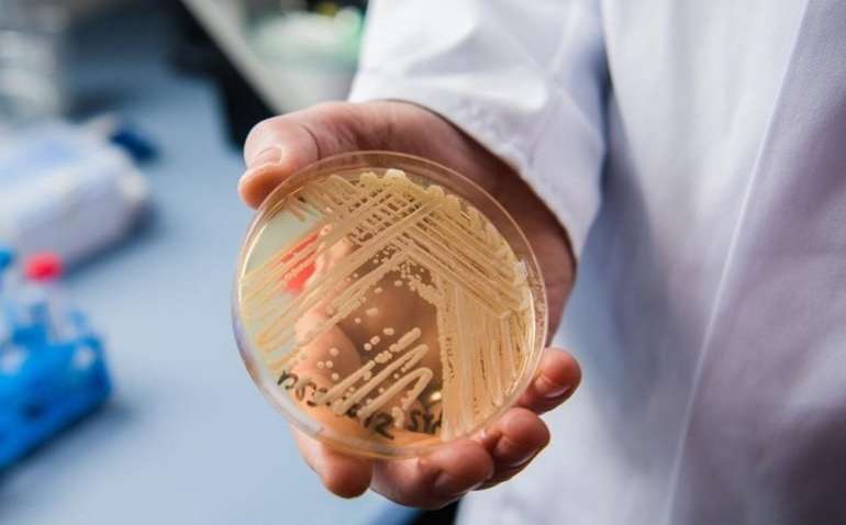 Глобальное потепление породило смертоносную инфекцию - установили ученые