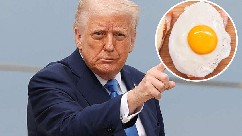 Тепер на сніданок у Трампа будуть яйця від Путіна: яке рішення прийняли у США Тепер на сніданок у Трампа будуть яйця від Путіна: яке рішення прийняли у США