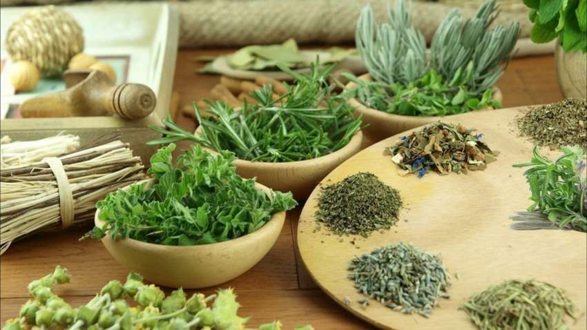 Список трав, которые ускоряют процесс похудения