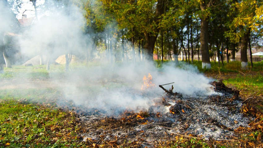 Названы суммы штрафов, которые угрожают украинцам за сжигание листьев