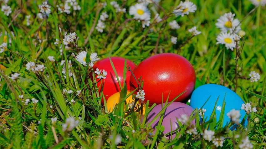 Погода в Украине на Пасху: будет тепло, но не во всех регионах Погода в Украине на Пасху: будет тепло, но не во всех регионах