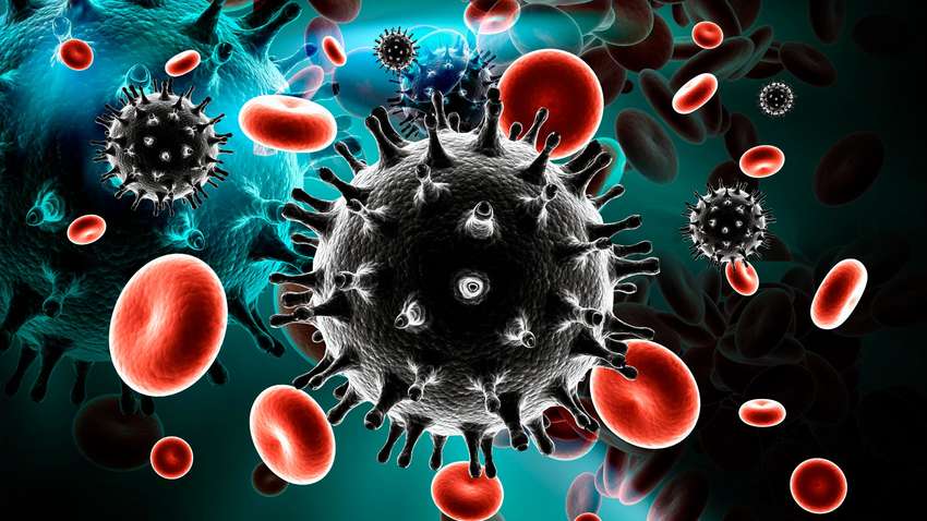 ВИЧ и COVID-19 - в чем сходство