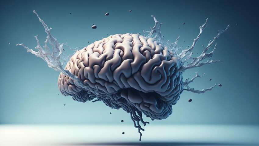 Вчені з Гарварду назвали чотири звички, які прискорюють "усихання" мозку