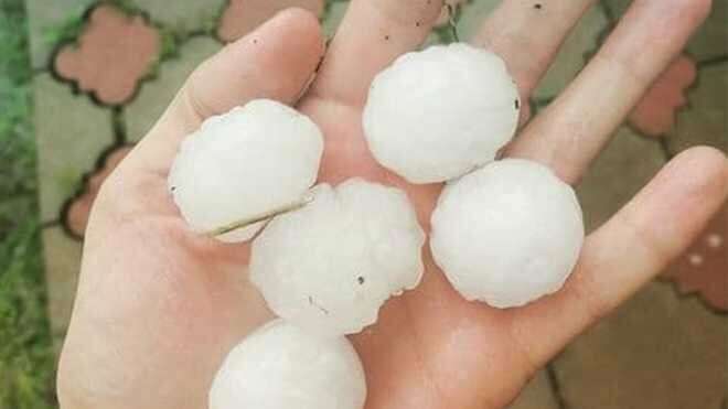 В Тернопольской области гигантский град размером с пельмени засыпал несколько сел (ФОТО)