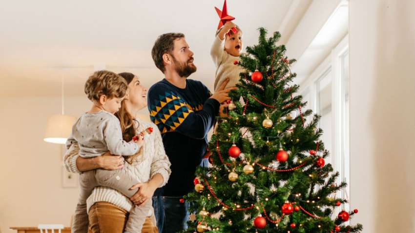 Как продлить жизнь новогодней елке: запомните эти правила Как продлить жизнь новогодней елке: запомните эти правила