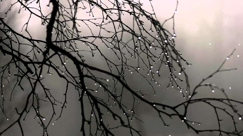 Прогноз для Украины: когда прекратятся дожди