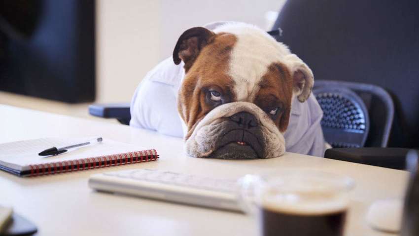 Психологи назвали 5 незаметных привычек, высасывающих нашу энергию Психологи назвали 5 незаметных привычек, высасывающих нашу энергию