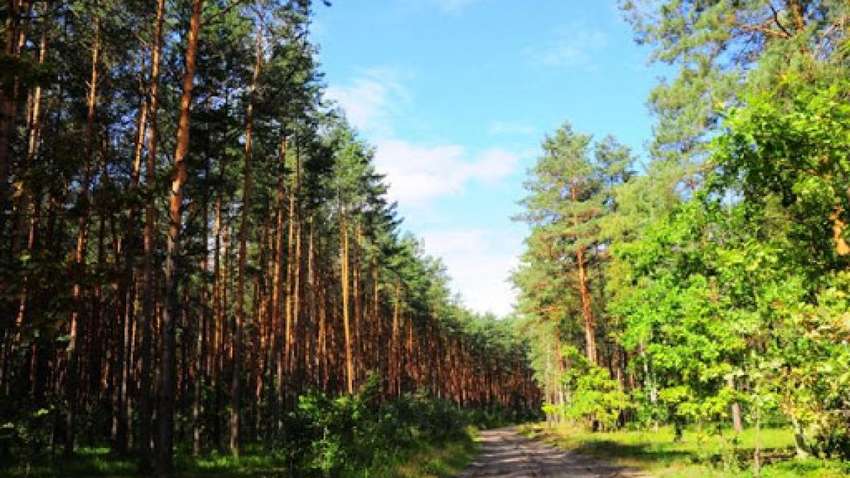 Заброднюється вода, повітря: у Міндовкіллі підрахували, як війна вплинула на довкілля за три місяці Заброднюється вода, повітря: у Міндовкіллі підрахували, як війна вплинула на довкілля за три місяці