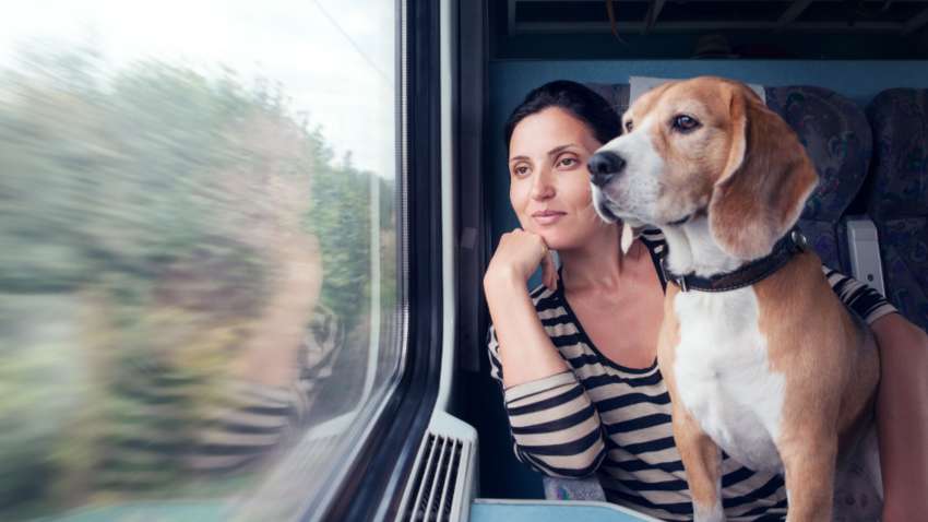 "Укрзалізниця" повідомила про важливі зміни щодо правил перевезення