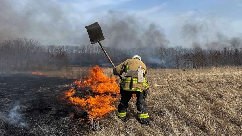 В Україні почали масові перевірки дворів – штрафи сягають понад 20 тисяч гривень