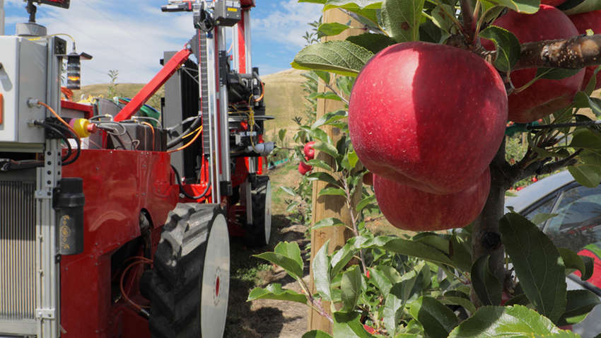 Японці допоможуть створити роботів для збору яблук