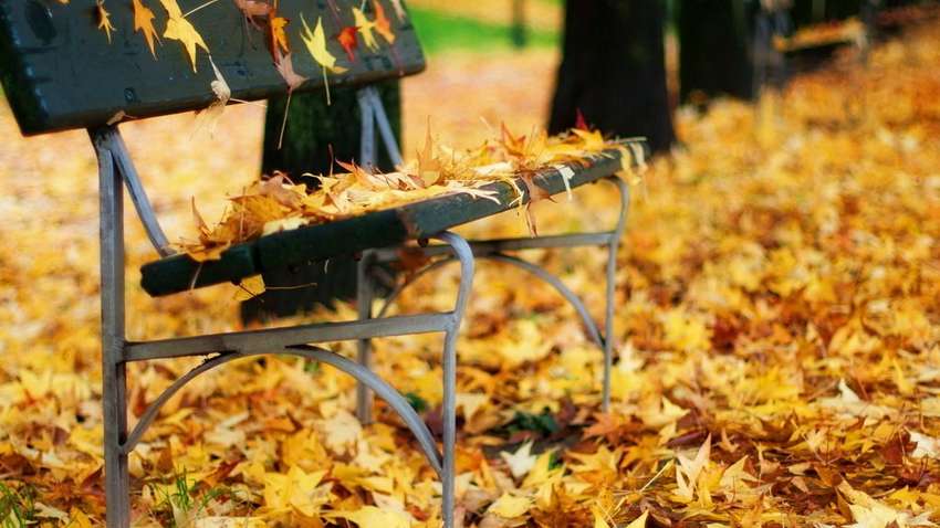 Прогноз синоптиков: как надолго в Украину вернулось тепло Прогноз синоптиков: как надолго в Украину вернулось тепло