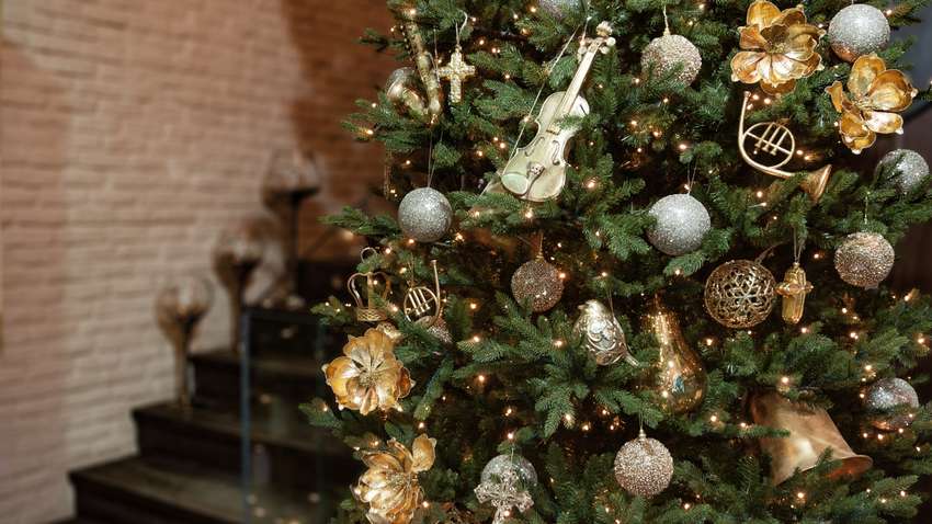 Новый год-2020: названы основные ошибки при выборе елки