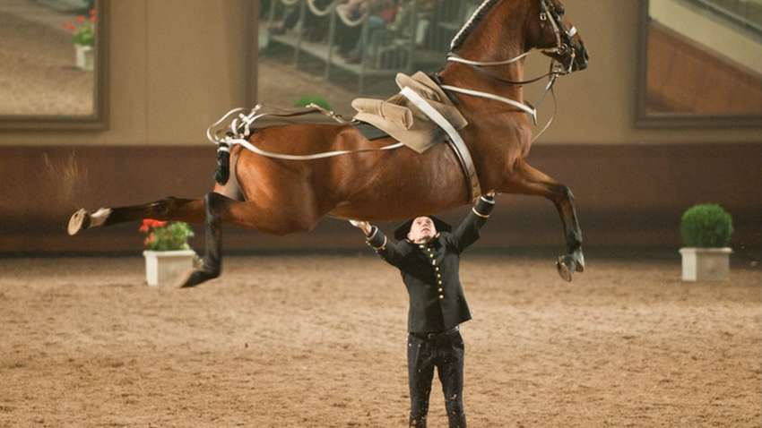 ТОП-10 ярких фотографий, сделанных в нужный момент