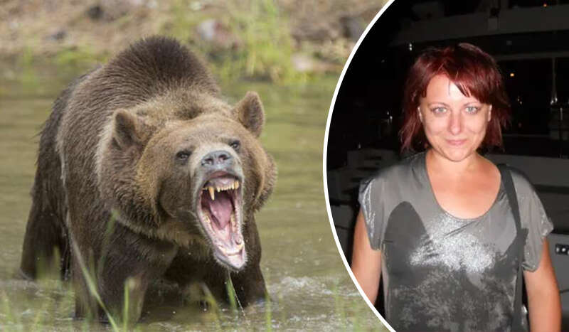 Медведь вытащил российскую туристку из палатки и снял с нее скальп Медведь вытащил российскую туристку из палатки и снял с нее скальп