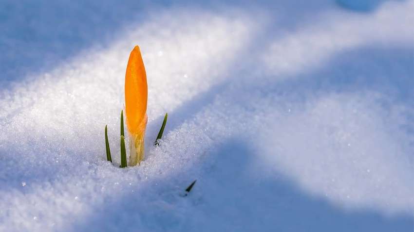 В Украине идет существенное похолодание: почему стоит готовиться к нестандартным зимам В Украине идет существенное похолодание: почему стоит готовиться к нестандартным зимам