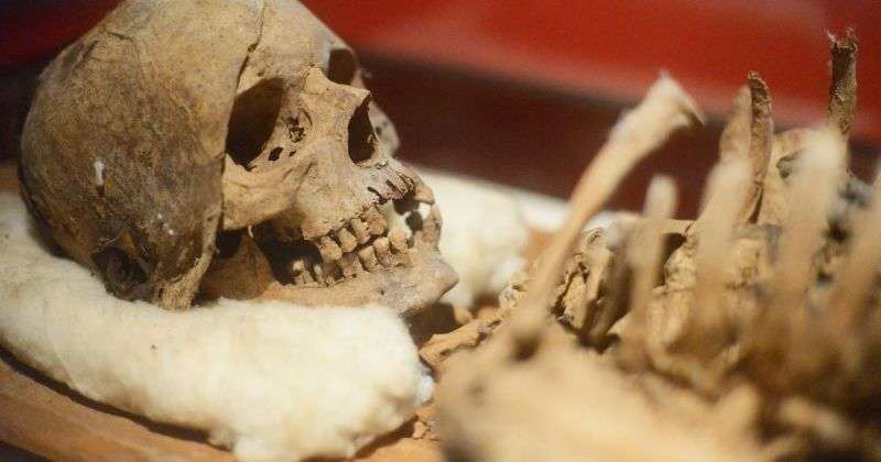 Мертві душі по-японськи: родичі 30 років приховували смерть чоловіка, отримуючи за нього пенсію