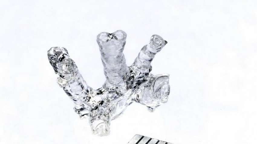 Вчені створили надшвидкий спосіб друку органів