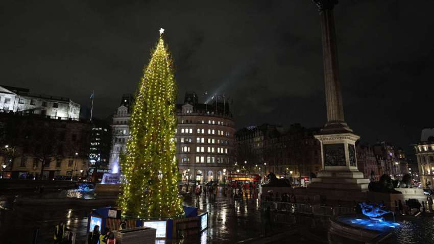 Мир смеется над новогодней елкой в Лондоне: какая причина 