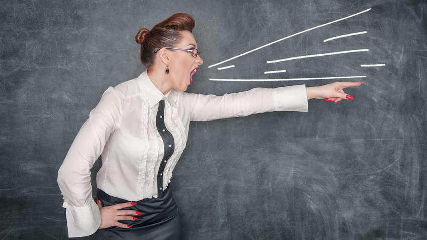 Учитель унизила ученицу из-за того, что девочка ответила ей на украинском языке