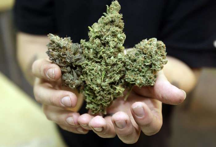 Вирощування канабісу та відмова від дисципліни: п'ять найбільш незвичайних шкіл в світі