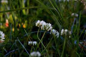 Чому 22 травня вважають одним із найнесприятливіших і навіть страшних днів: як уникнути нещастя