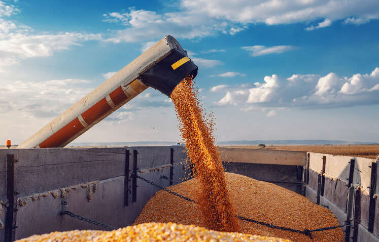 Китай кинул Путина: что покупает в Украине Китай кинул Путина: что покупает в Украине