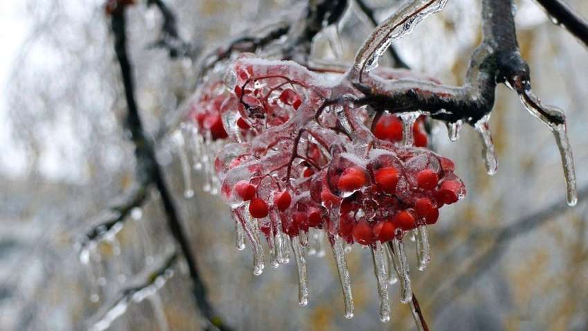 В Україну йде циклон: він принесе крижаний дощ і мряку