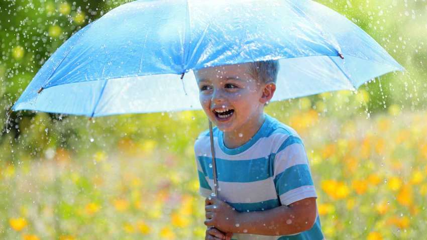 Синоптики розповіли, яким буде початок вересня в Україні (карта)