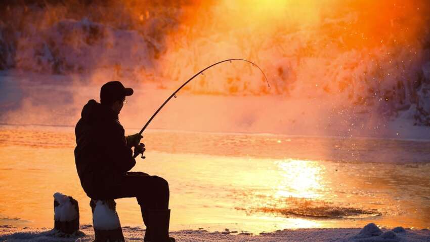 В Украине нельзя будет ловить рыбу без удостоверения рыбака: скоро введут новые правила 